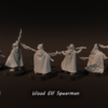 6e278835a55ffb6b37e4ca20ede6c2e2.png Wood Elf Spearmen - x6