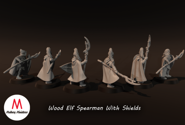 9096c76ae50240f1960d45bb9e19bdd3.png Wood Elf Spearmen With Shields - x6