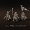 Wood Elf Spearmen Command - x1
