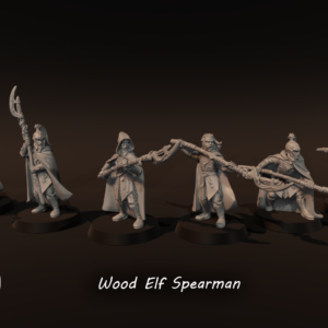 Wood Elf Spearmen - x1