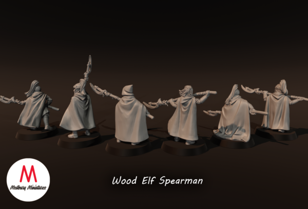 b6db5554d9db23f65fd2bbdd86f3d038.png Wood Elf Spearmen - x1