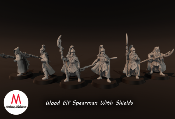 b9e2cfe2d777bae3894abee6293b2945.png Wood Elf Spearmen With Shields - x6