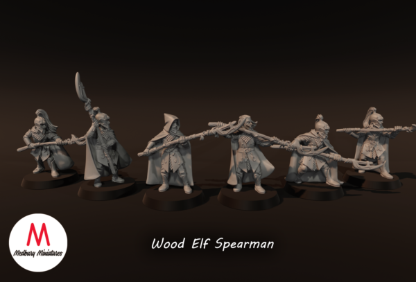 be0dcf918474e5f8a35f512d9ab84d46.png Wood Elf Spearmen - x6