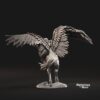 Pegasus - Zeus - 1x