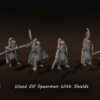 d366aa0de58c575f5d32e6e0c4668e88.png Wood Elf Spearmen With Shields - x6