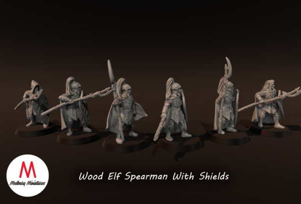d366aa0de58c575f5d32e6e0c4668e88.png Wood Elf Spearmen With Shields - x6