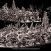 dd07b149f4eb5c4b01d60c31cc4a0457.jpg Daemons of Pestilence Battle-Ready regiment - 10x