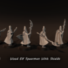 ee5b2a01cd6ec1aa637fdb92f3d059f4.png Wood Elf Spearmen With Shields - x1