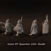 fc54f5c4d85c329f3c6cfb9ddb70bfb7.png Wood Elf Spearmen With Shields - x1