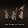 ff0d327de951f661cf57ceea84f5f3ea.png Wood Elf Spearmen Command - x3