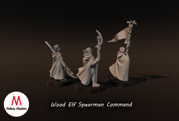 ff0d327de951f661cf57ceea84f5f3ea.png Wood Elf Spearmen Command - x3