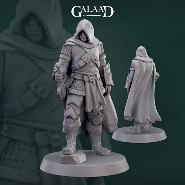 Half orc knight hooded