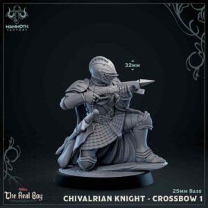 23699b8560706f5b448f1b302fad03ff.jpg Chivalrian Knight, Crossbow #1