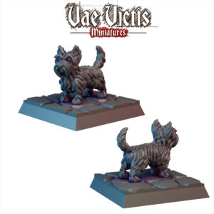 Westie - x1