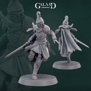 6a12610499e8787c400690d9e92ef45b.jpg Female knight sword fighter 02