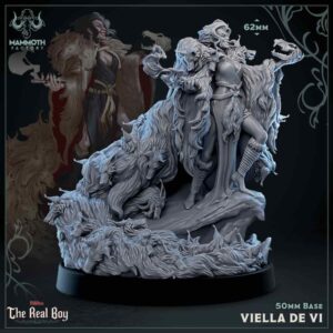 Vielle de Vi