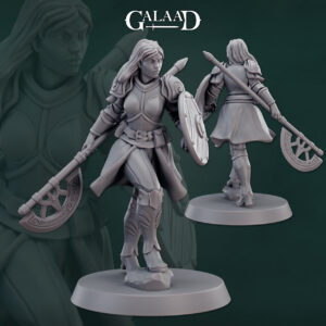 Female fighter axe and shield