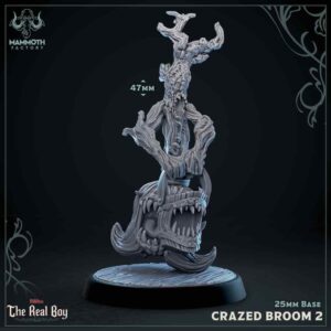 Crazed Enchanted Broom #2