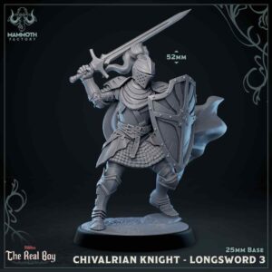 dd7d1a3fc26108e724ea43006a4f204f.jpg Chivalrian Knight #3