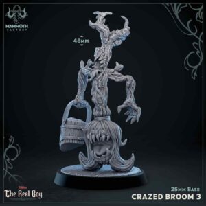 Crazed Enchanted Broom #3