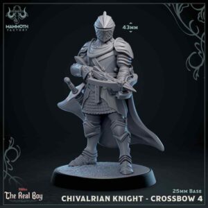 f16413cecac53fe235f7686f427f8796.jpg Chivalrian Knight, Crossbow #4