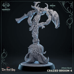 Crazed Enchanted Broom #4