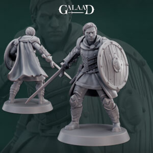 fae995ff4bde942f68e05d8b25d15e03.jpg Sword Fighter