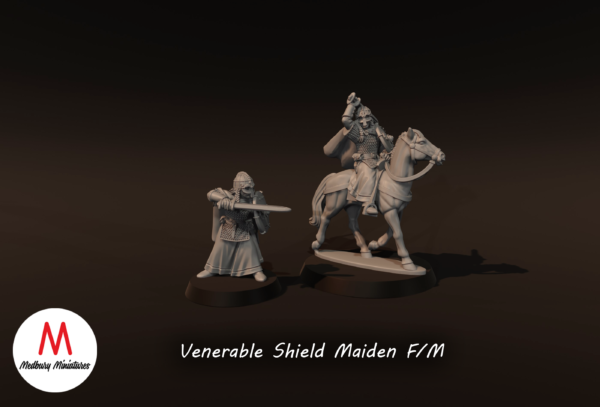 0f69dd407c67ef9b0660bac40fdb6a76.png Venerable Shield Maiden Mounted - x1