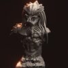 2000a801c307bd0c31b3c8254ac4c1e3.jpg Predator Bust - x1