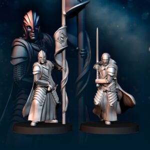 3fc196c651c6328c69f4afd16b25e97e.jpg Bloody Elf Commander - 2x