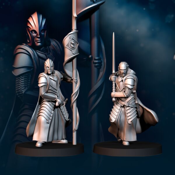 Bloody Elf Commander - 2x