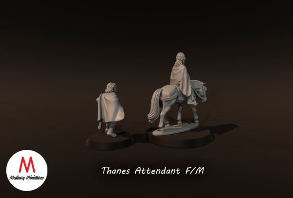 6fc083699c1daa4930b355190477502f.png Thanes Attendant on Foot - x1