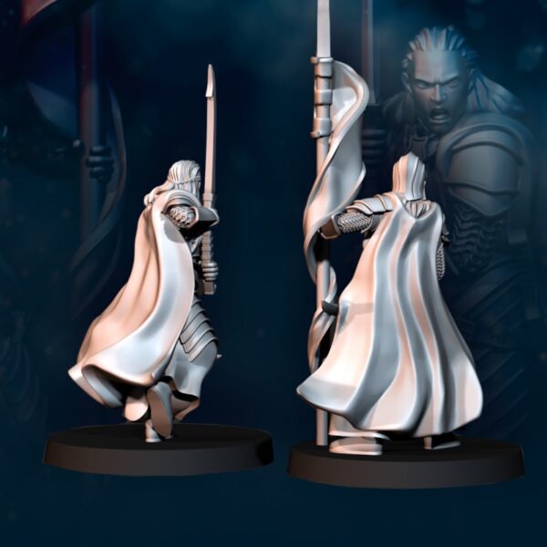 Bloody Elf Commander - 2x