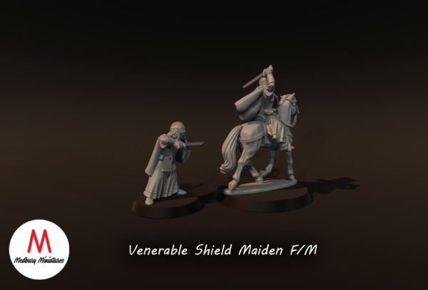 9df24bd4e1bdfd2f4135f831c3ee0c74.png Venerable Shield Maiden Mounted - x1
