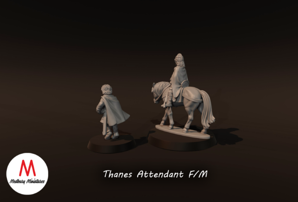 b39ca8b14d08f3c332932326e08fdfd0.png Thanes Attendant on Foot - x1