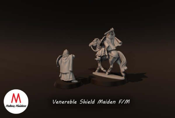 d3c2c561d917aa976ab68f44369f4b1c.png Venerable Shield Maiden Mounted - x1