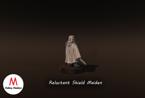 d74a780d8a526d43da3ad09d867acca6-3.png Reluctant Shield Maiden - x1