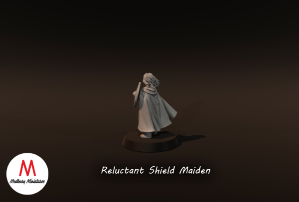 d8b2f0c8d29538159ca9eb6e2d44bca3-2.png Reluctant Shield Maiden - x1