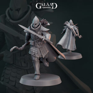6fce0f6268293657ef3bdf0ee42ee89b.jpg Elf Ranger Warrior 04