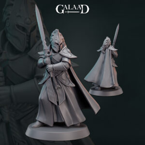 80051e11f9fa676bfbf9616e52cbe4ec.jpg Elf Warrior Elite Sword 01