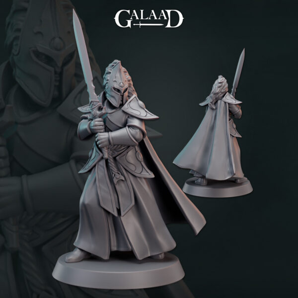 Elf Warrior Elite Sword 01