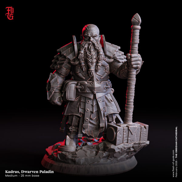 Kadrus, Dwarven Paladin