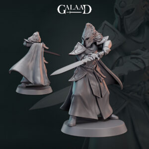 c18cf8e1303b036a2fb5b8601b3501db.jpg Elf Warrior Elite Sword 03