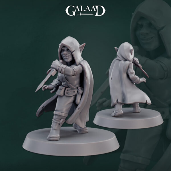 d31b60a1f9d84c4a2a72ffafe2765935.jpg Goblin Assassin