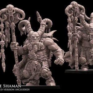 20c92595239c70c228ae0165db4e517b.jpg Ogre Shaman - x1