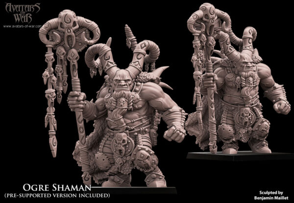 Ogre Shaman - x1