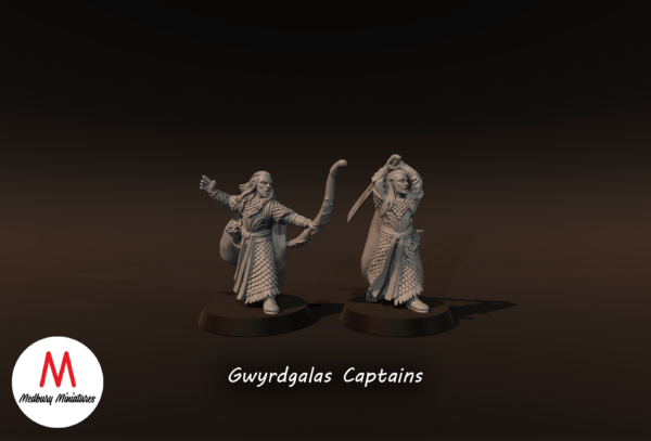 5adb97eff4cb53ff524df46babe6a999.png Gwyrdgalas Captains