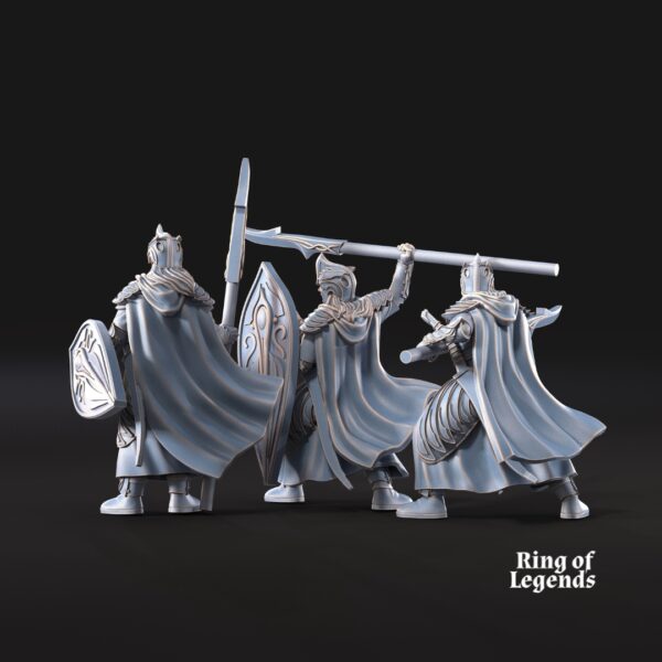 13373c6cb88326d311f1eba62622ade4.jpg Spearmen with opt. shield - x1