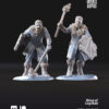 Fellmount Reavers Torch and opt. shield - x1