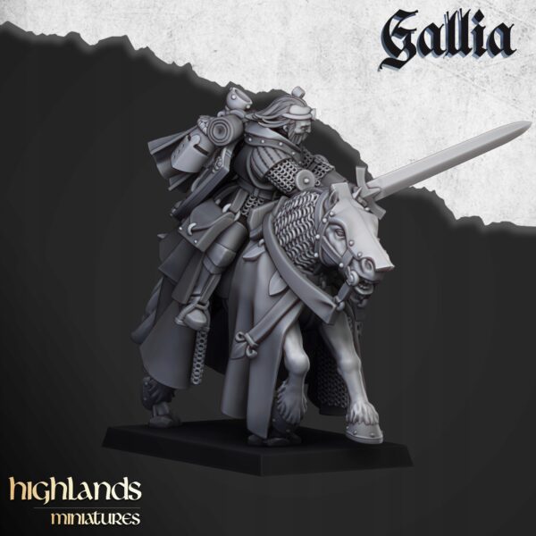 Questing Knights x5 - Minifaktura - KoE - Druk 3D